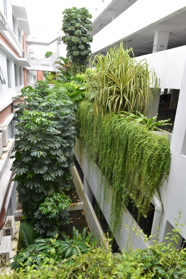 My Daily Homestay - Miri Times Square Bagian luar foto